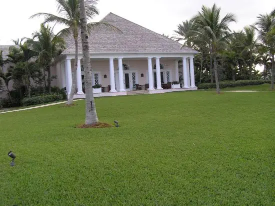 club-house house with the big yard and a palm tree
